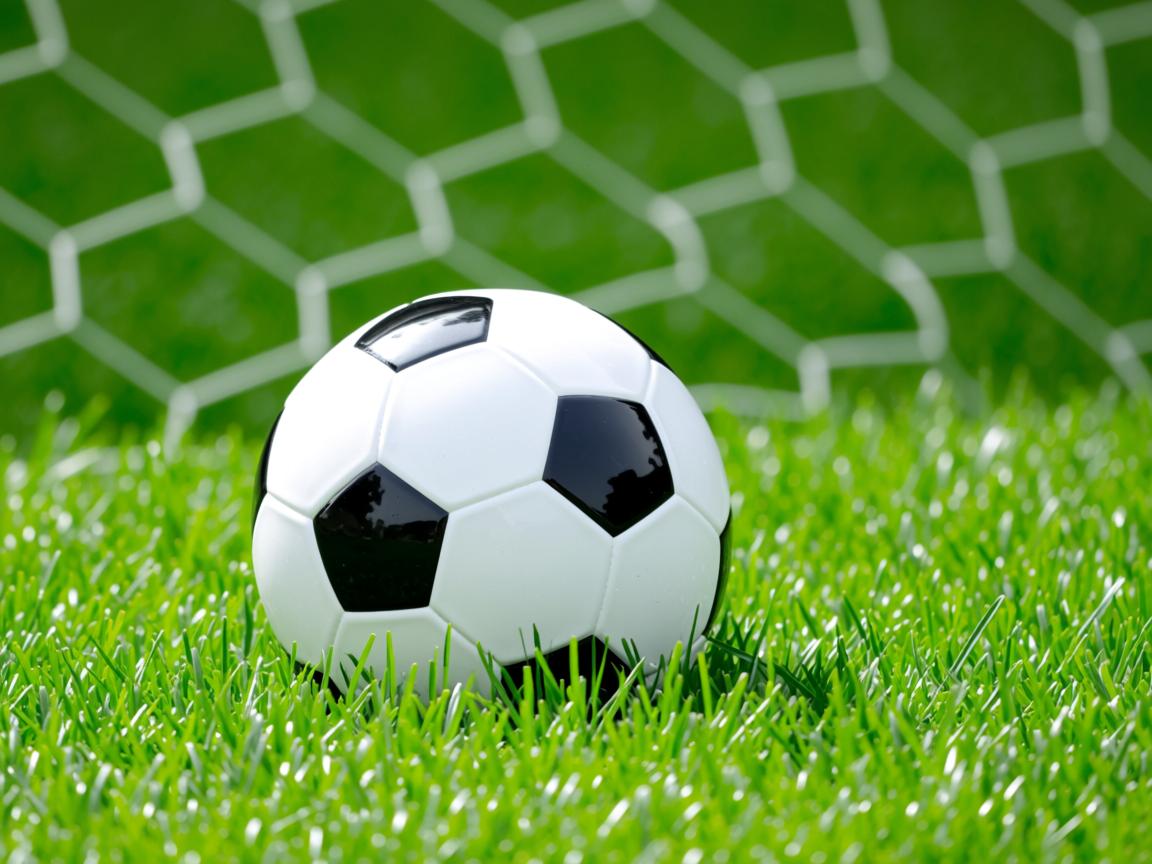 九游娱乐官网-三年划频节奏图：中国逐年趋于“高频稳态”